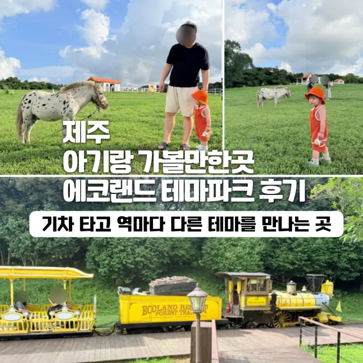 제주 아기랑 가볼만한곳 찾다가 다녀온 에코랜드 테마파크 솔직후기