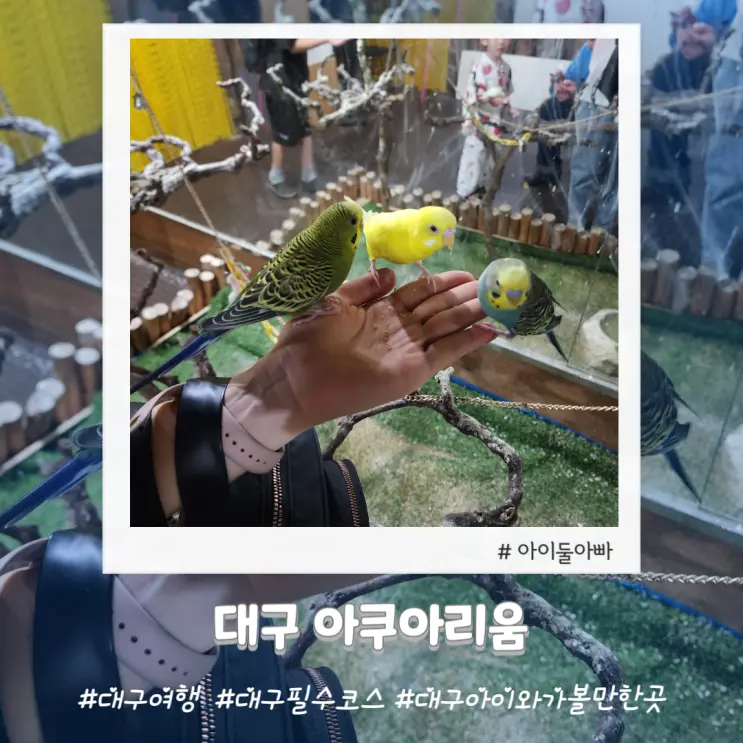 대구아쿠아리움 동물먹이체험 대구바다구름다리
