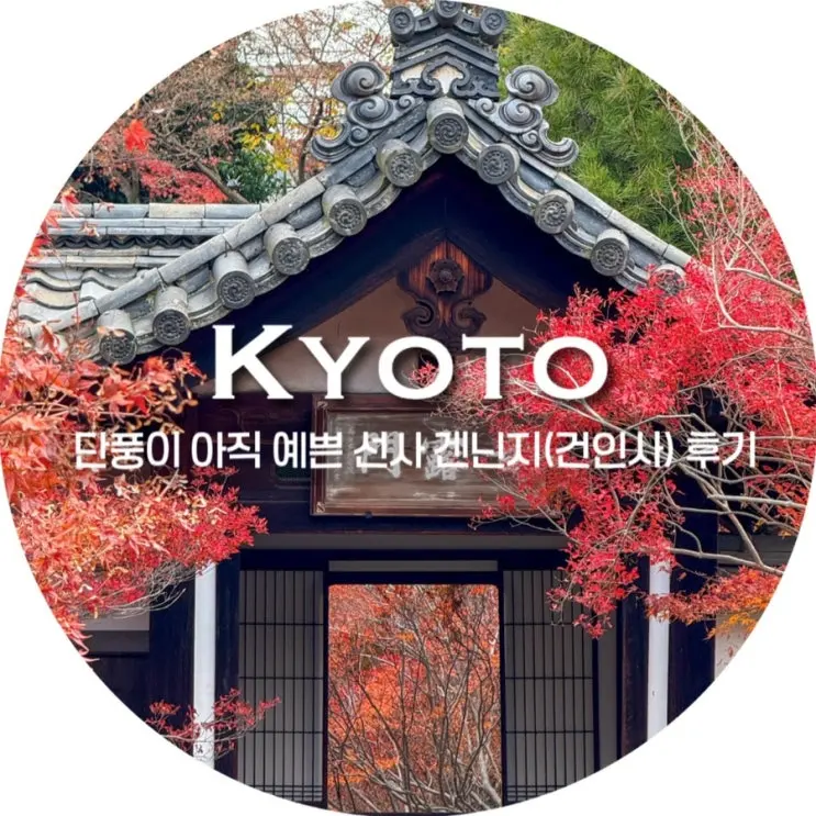 12월 교토 여행/ 단풍이 아직 예쁜 선사 겐닌지(건인사) 후기, 에이칸도 처럼 목재 복도를 따라 걸으며 볼 수 있는 사찰, 교토 가볼만한 곳