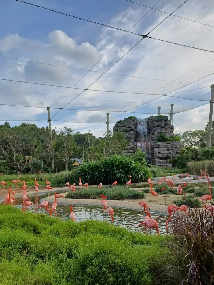 Singapore Mandai Wildlife Reserve: Guide to 5 Theme Parks & Itineraries