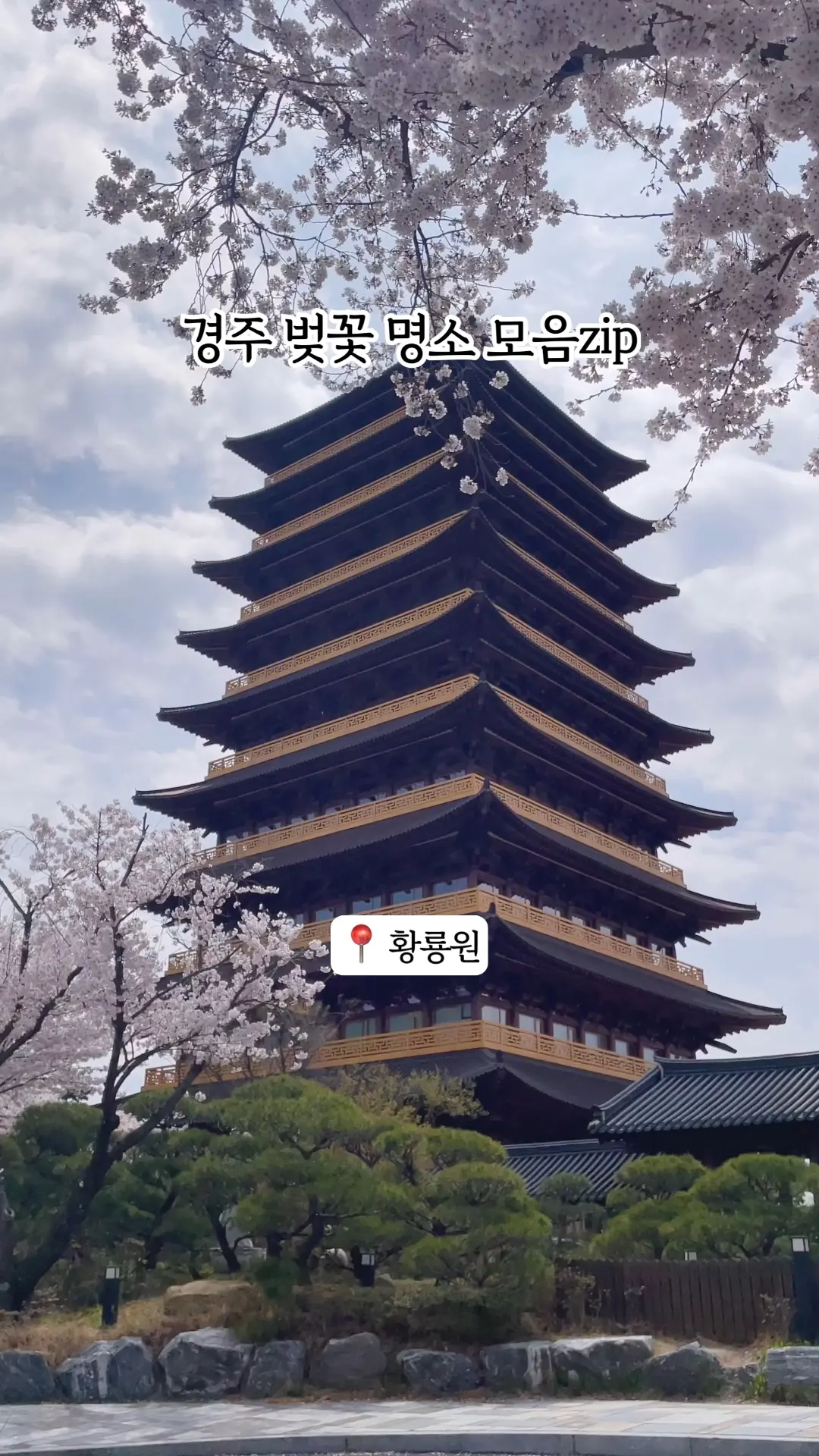 경주 벚꽃명소 모음 - 황룡원 / 보문호 / 대릉원돌담길 / 오릉돌담길 #클립챌린저 #벚꽃 #경주벚꽃 #벚꽃명소 #벚꽃여행