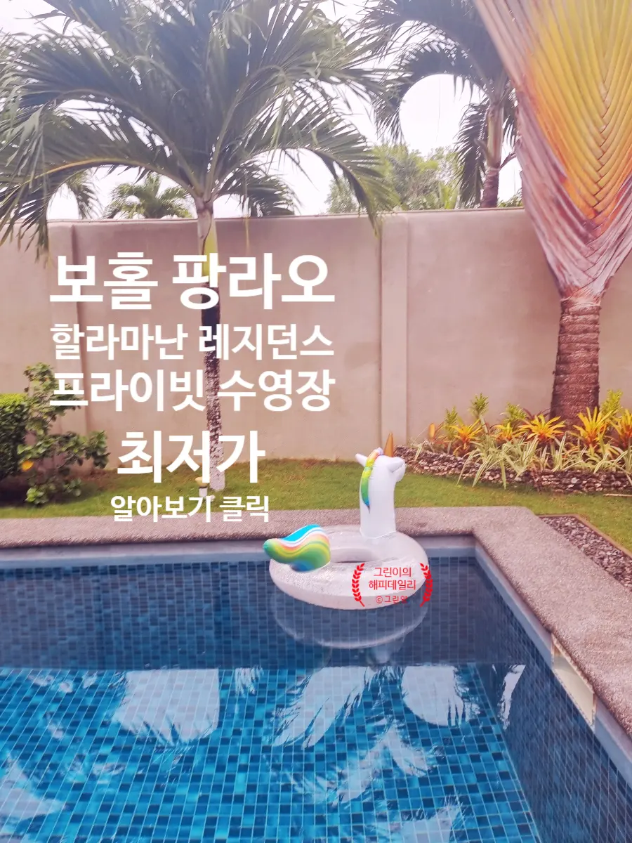 공용 수영장인데 사람이 거의 없어서 전세 낸 기분이었어요