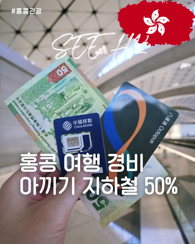 How to Save Money on Hong Kong Travel: 55% Subway Discount & Up to 12% Ngong Ping Cable Car Booking Tips