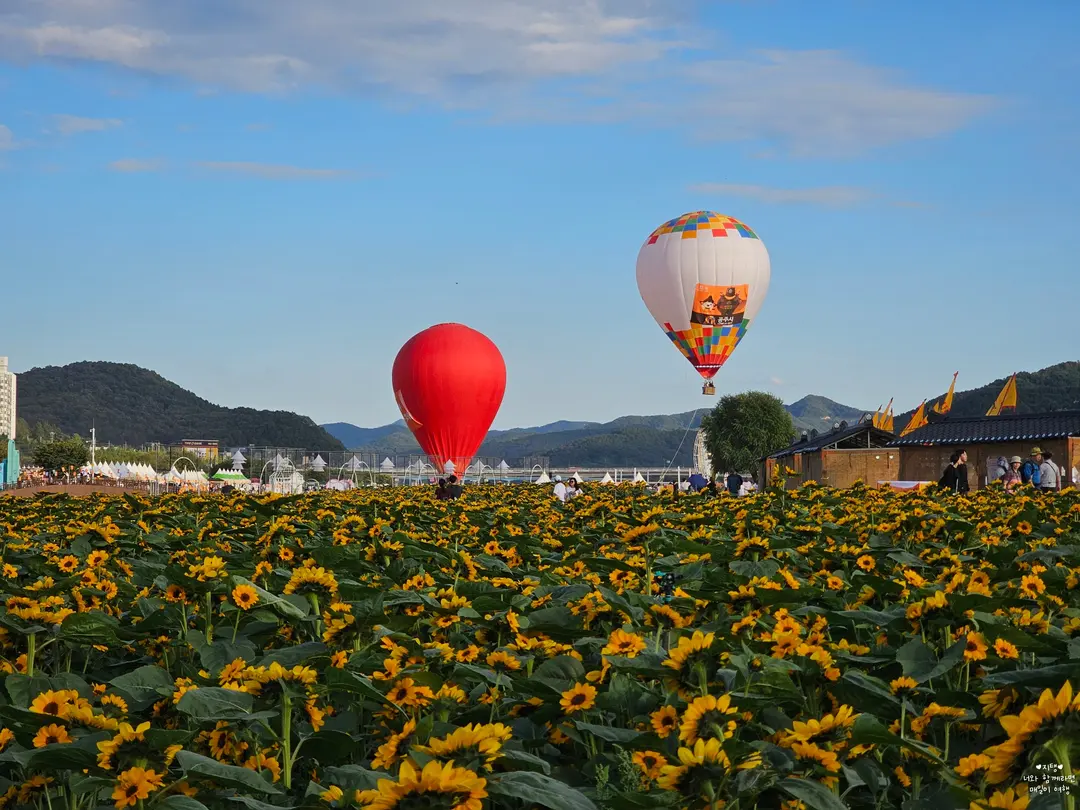 열기구 체험도 하고 있었어요!