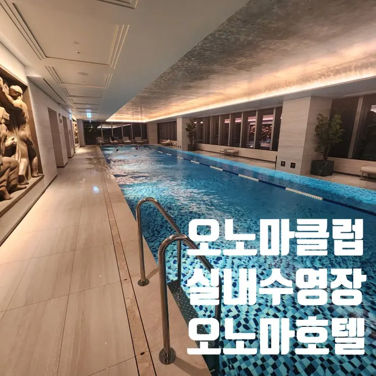 대전오노마호텔 오토그래프컬랙션 수영장 오노마클럽