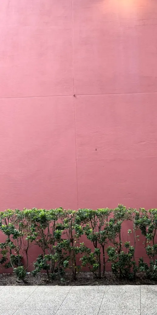 University of Sydney Pink Wall