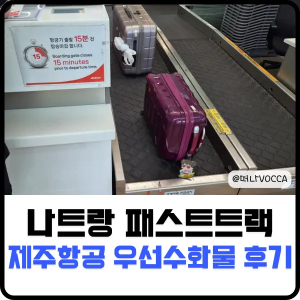 나트랑 패스트트랙만 신청할 걸 제주항공 우선 수화물 솔직 후기
