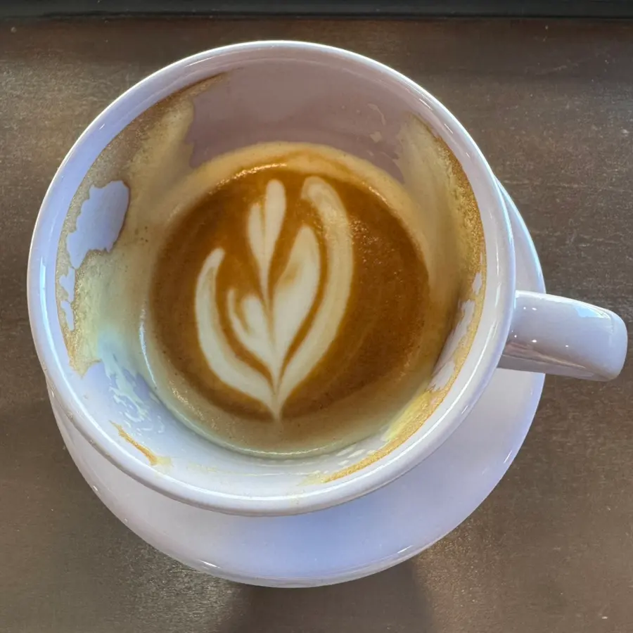 Creamy latte with perfect foam