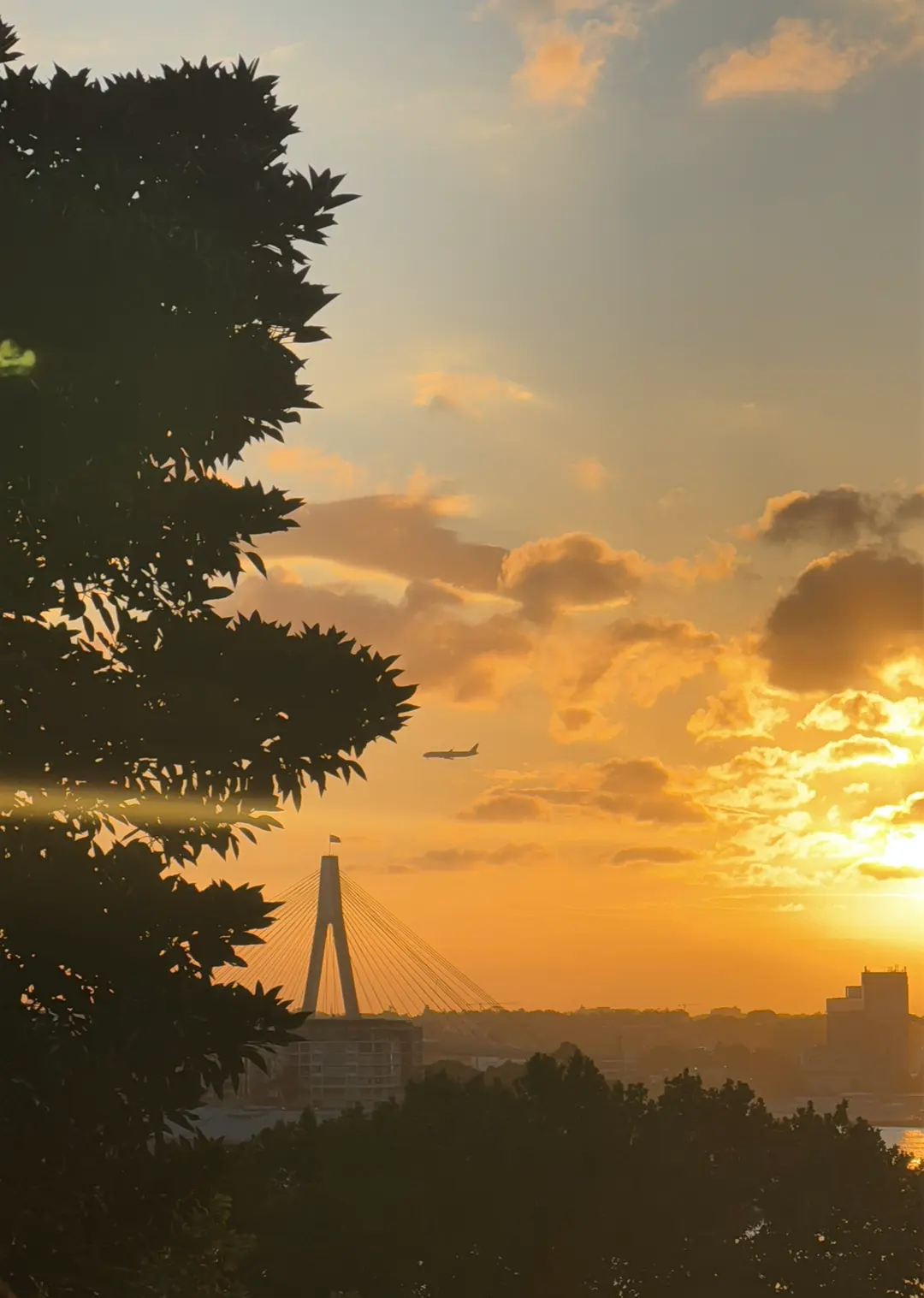 Sydney Flight Prices