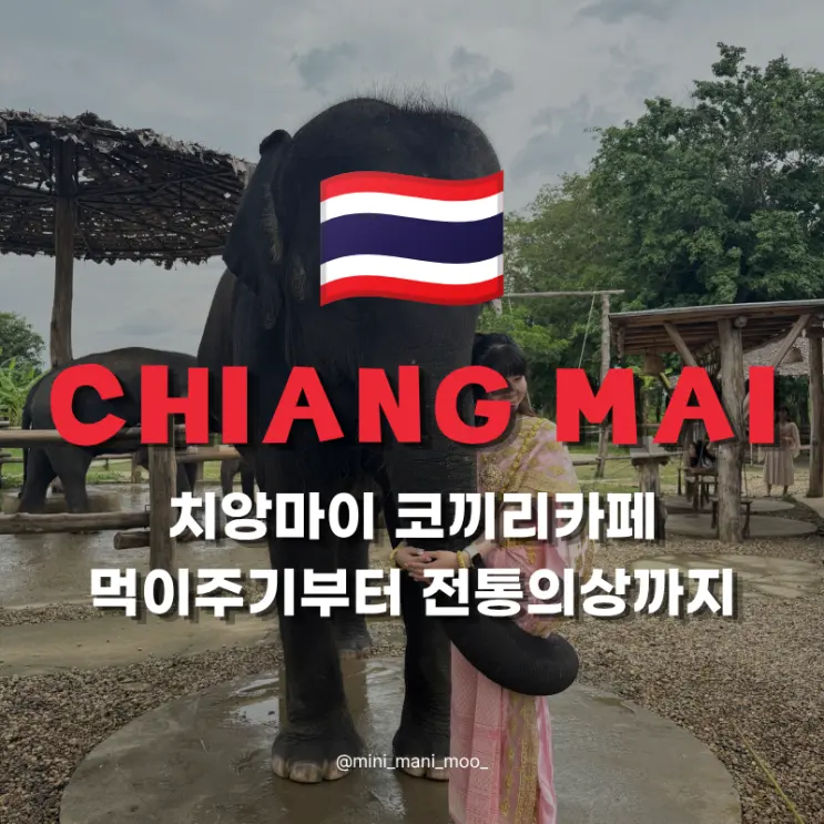 치앙마이 코끼리카페 가격 예약 For the Good Time 후기