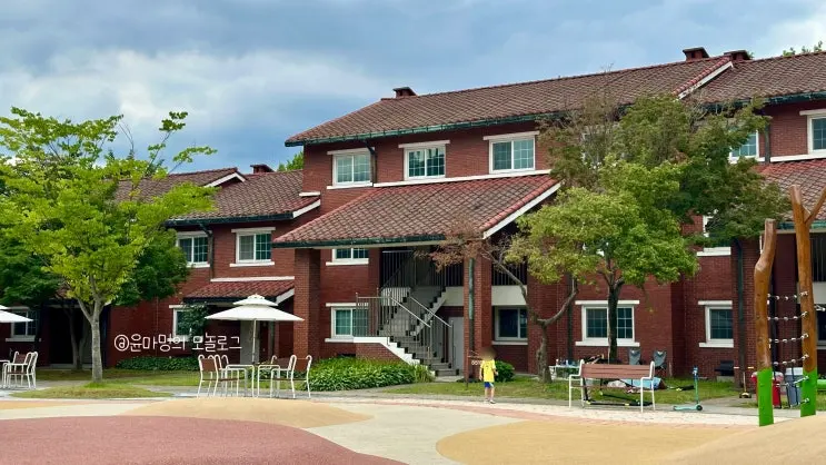 용산공원 장교숙소 5단지 산책하며 인생샷 찍기 좋은 곳
