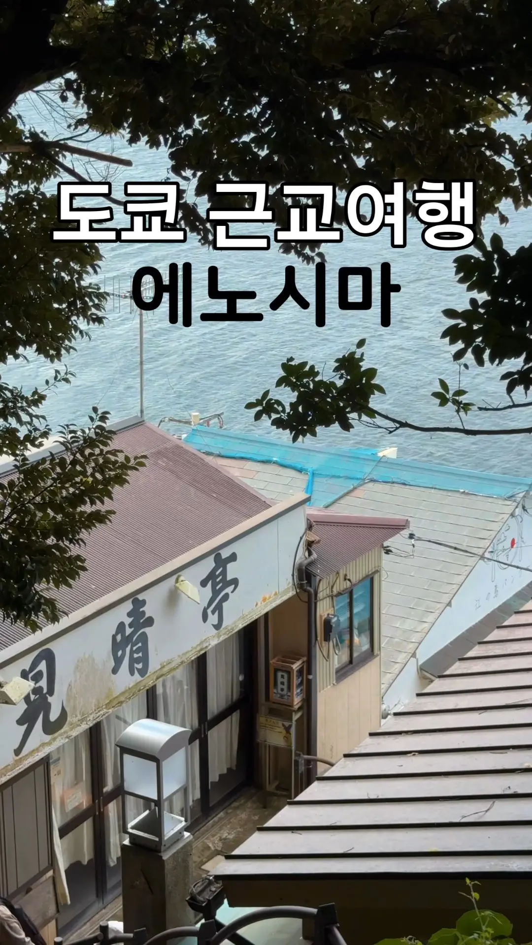 도쿄근교여행 에노시마섬 #오늘클립챌린지 #도쿄근교여행 #도쿄근교에노시마 #가마쿠라에노시마여행