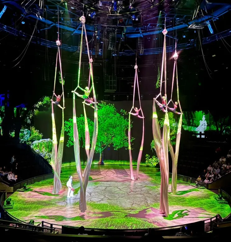 Your Shanghai Itinerary: Ma Theatre Circus Show - Booking, Seating & Price Comparison!