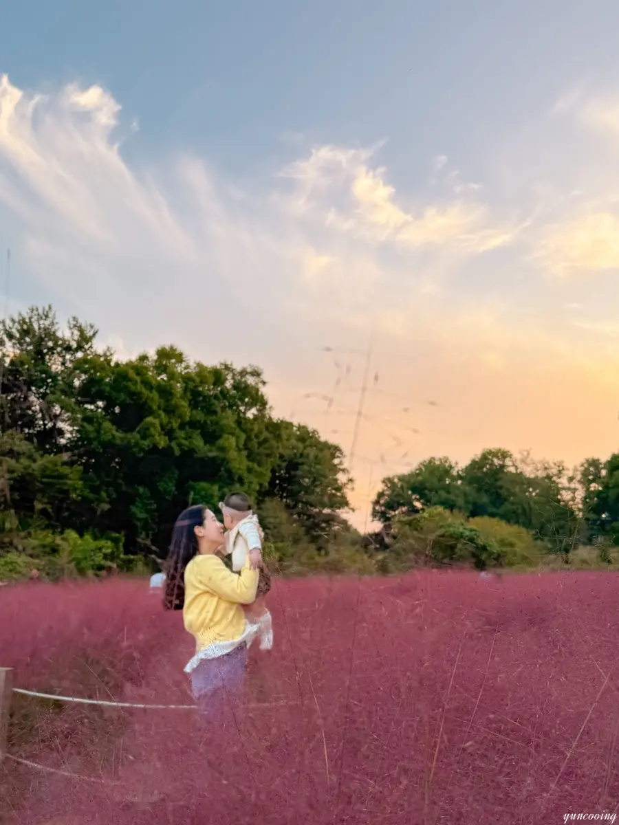 Baby in pink muhly field
