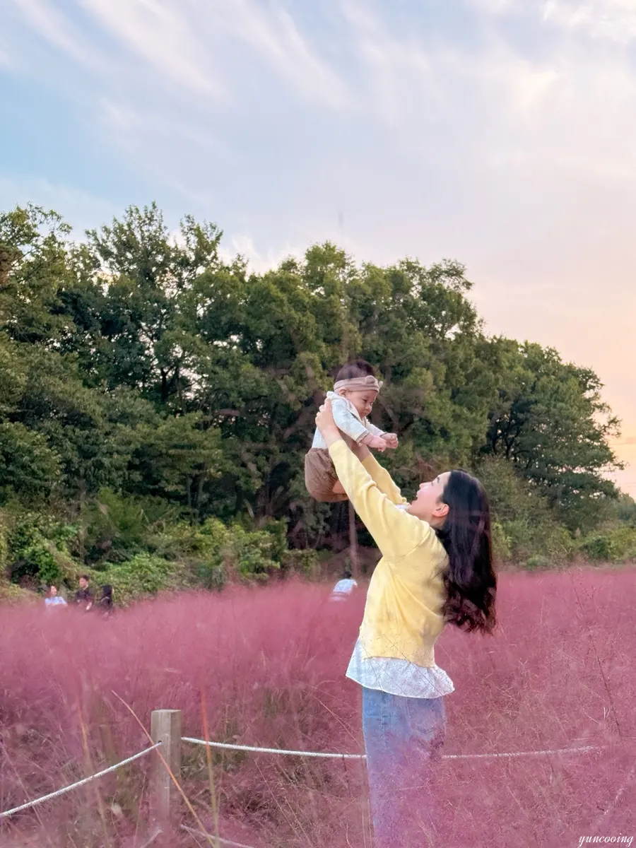 Family photos in pink muhly