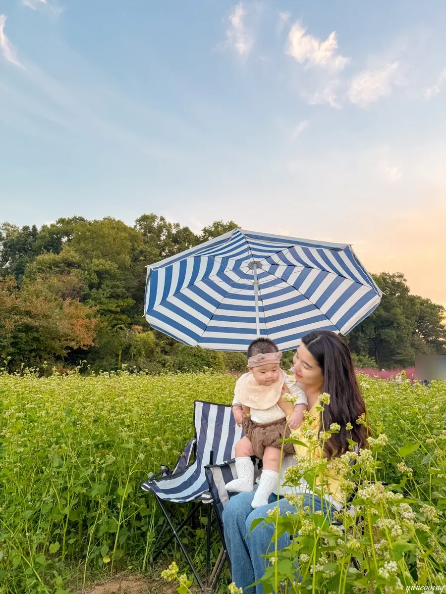 Buckwheat field with blue striped parasol