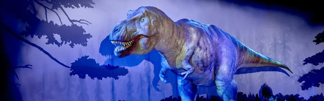 Visit the Dinosaurs gallery | Natural History Museum | Natural History Museum