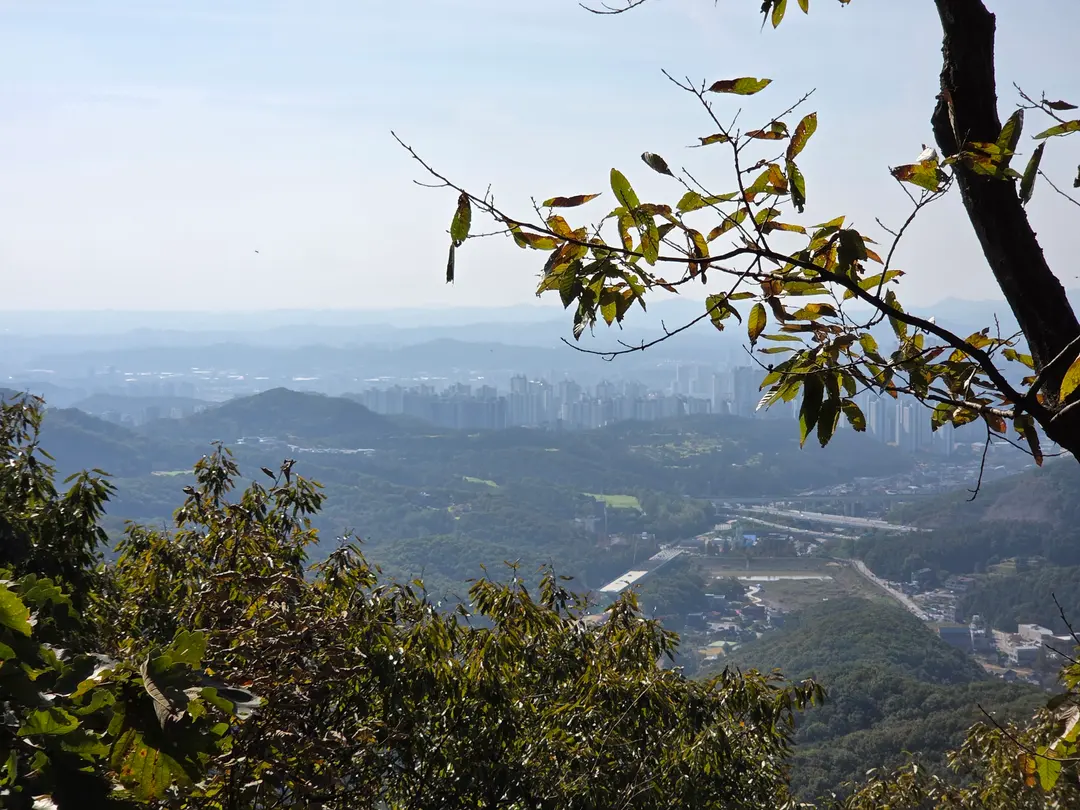 무봉산 정상 뷰