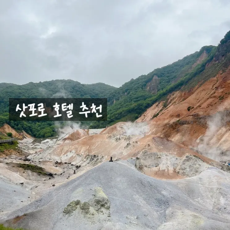 홋카이도 노보리베츠 마호로바 온천 호텔, 조식후기 (다다미 10조)