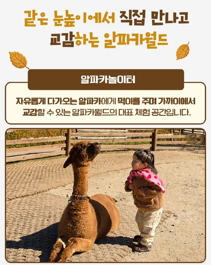 출처, 알파카월드 상세페이지