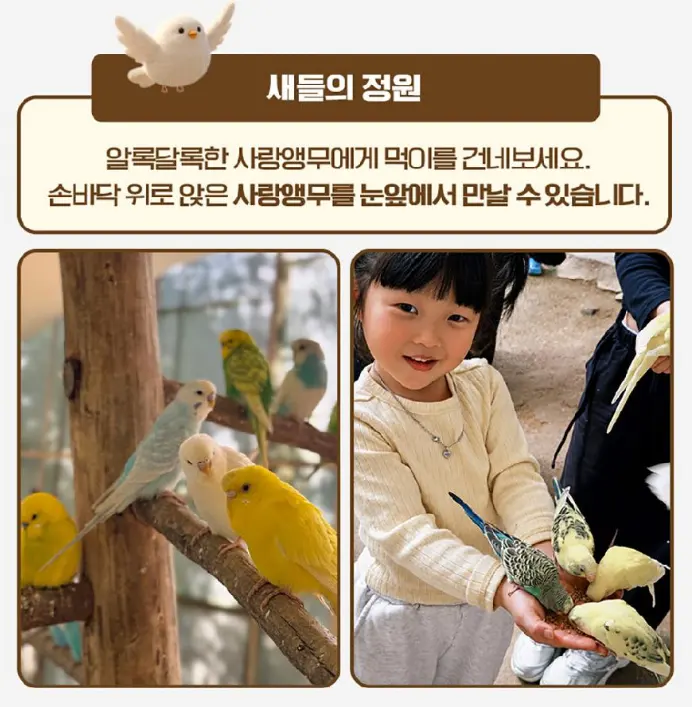 출처, 알파카월드 상세페이지