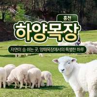 쿠팡 트래블 | 하양목장 이용권