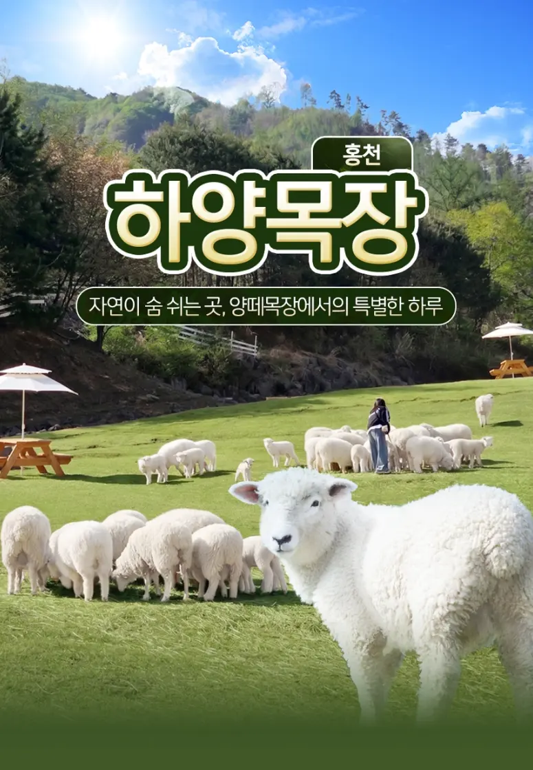 출처, 하양목장 상세페이지