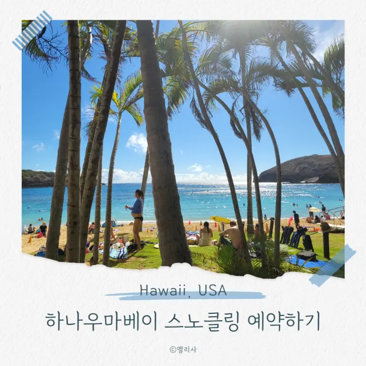 하나우마베이 예약 사이트 공략! 스노클링 준비물 꿀팁까지
