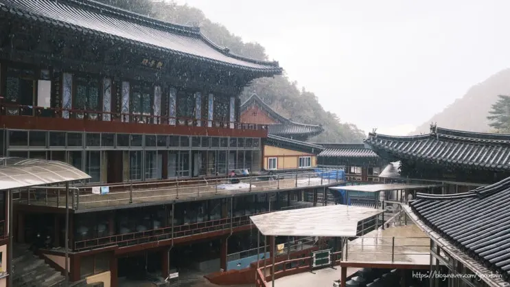 단양 영춘면│구인사 & 가곡면 보발재 전망대