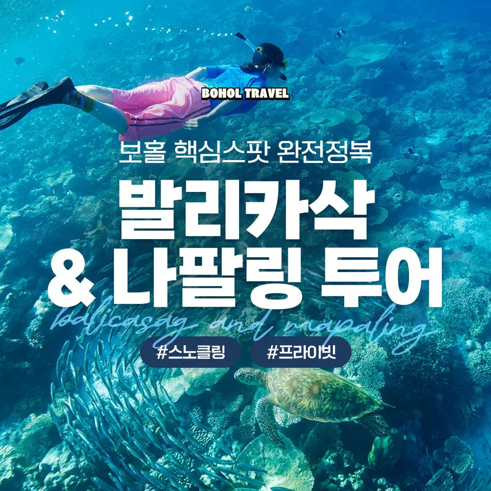 [보홀트래블] 보홀 발리카삭 + 나팔링 투어 단독 스노쿨링 수중촬영 전담가이드 투어/티켓 가격 및 예약 | NOL(야놀자)