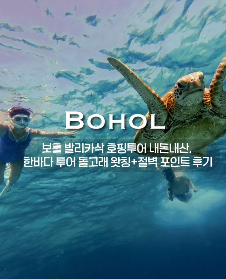 보홀 발리카삭 호핑투어 내돈내산, 한바다 투어 돌고래 왓칭+절벽 포인트 후기