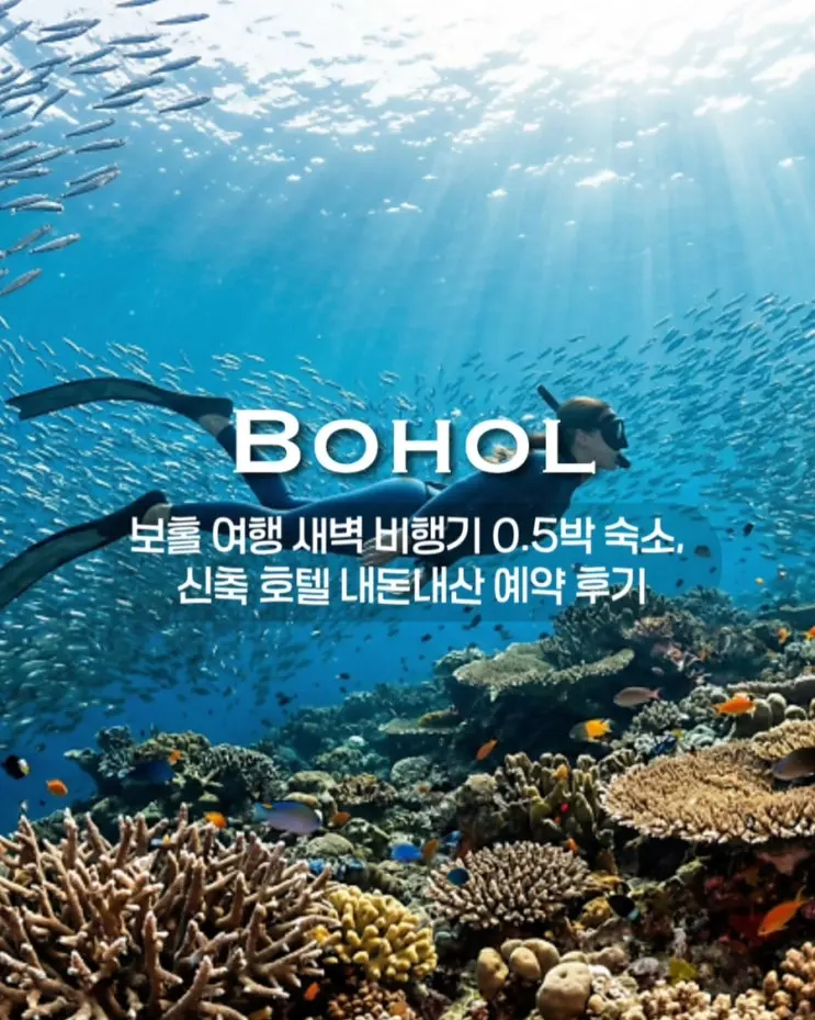 보홀 여행 새벽 비행기 0.5박 숙소, 입국용 4만원대 vs 출국용 6만원대 신축 호텔 내돈내산 예약 후기