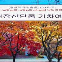 쿠팡 트래블 | [용산역 KTX]오색단풍 내장산 기차여행 (08:20出 정읍역 10/24-11/15 당일)