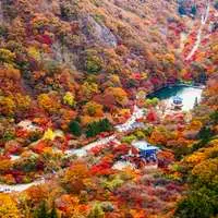 쿠팡 트래블 | 위풍당당 내장산 단풍, 전주한옥마을 당일여행