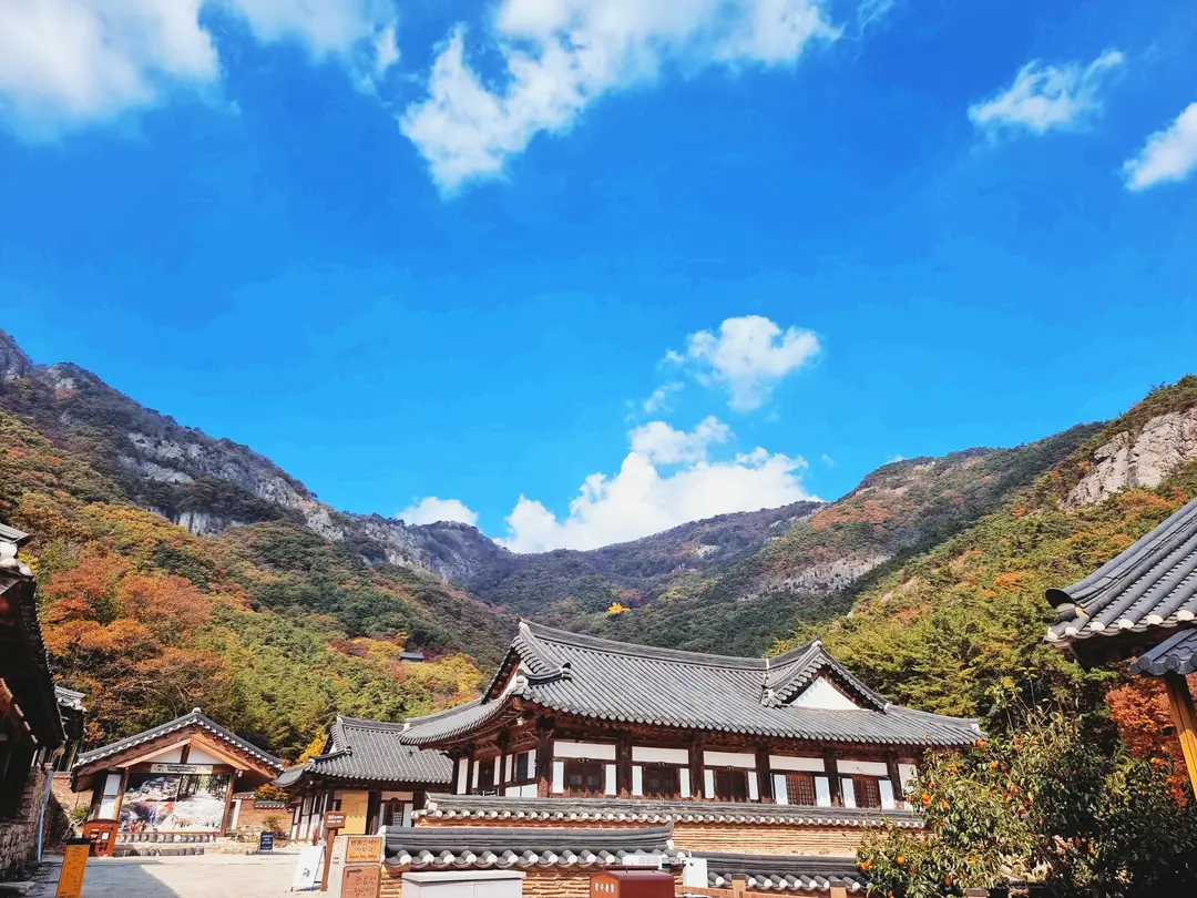 산 정상부터 물들기 시작하는 가을 단풍 풍경