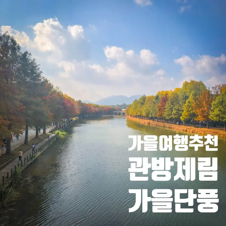 담양가볼만한곳 관방제림에서 가을 단풍 산책