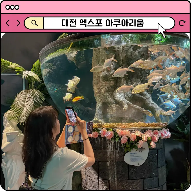 대전 신세계 아쿠아리움 할인 공연 시간표 주차 엑스포 수족관