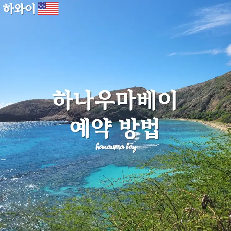 하와이 :수영못하는데 스노쿨링하기-하나우마베이 예약 스노쿨링장비구매 투어할인쿠폰