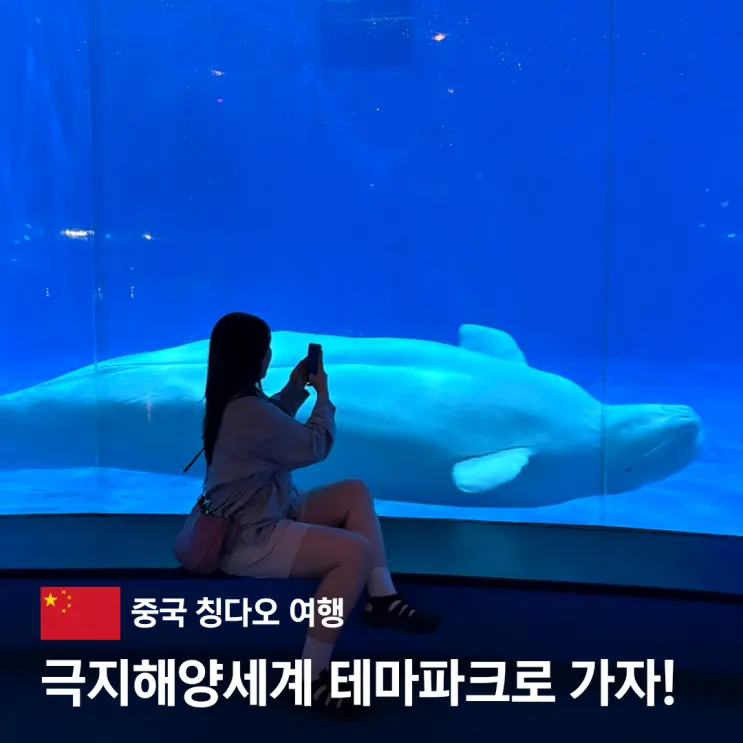 칭다오 극지해양세계 입장권 예약 돌고래쇼 공연 시간 아쿠아리움 식당 가족여행지 추천
