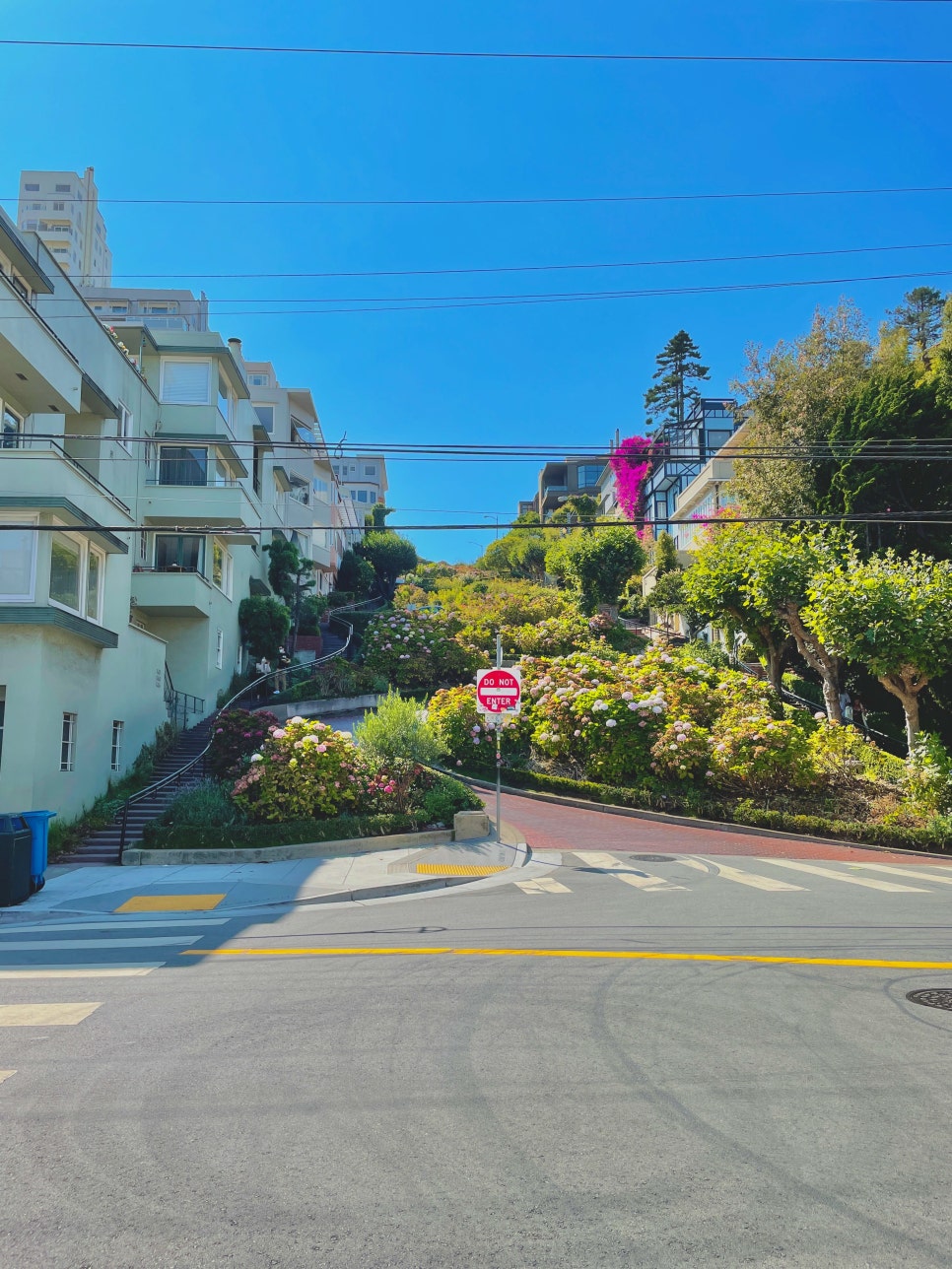 A view looking down the winding, flower-lined Lombard Street.