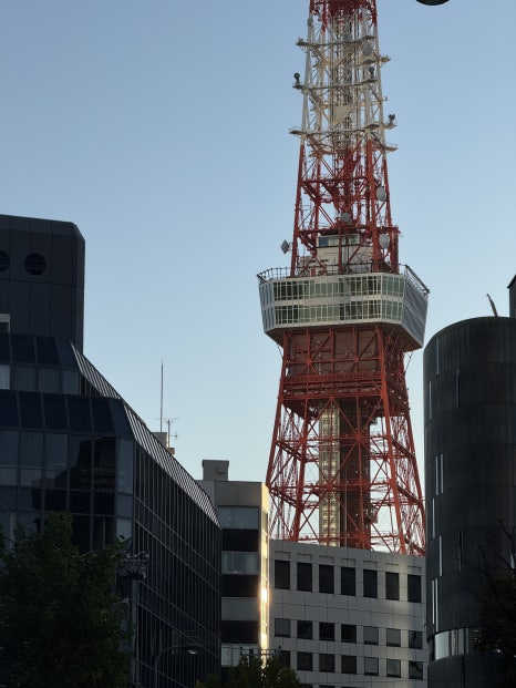 A beautiful park in Tokyo during December, showing the last of the autumn foliage.