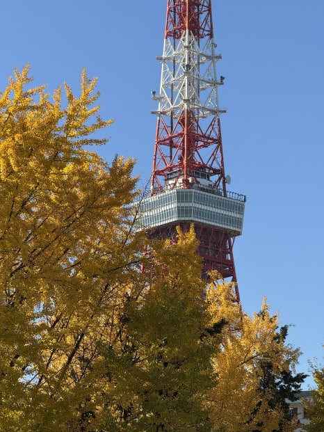 A street view of Tokyo in winter, with people dressed in coats and jackets.