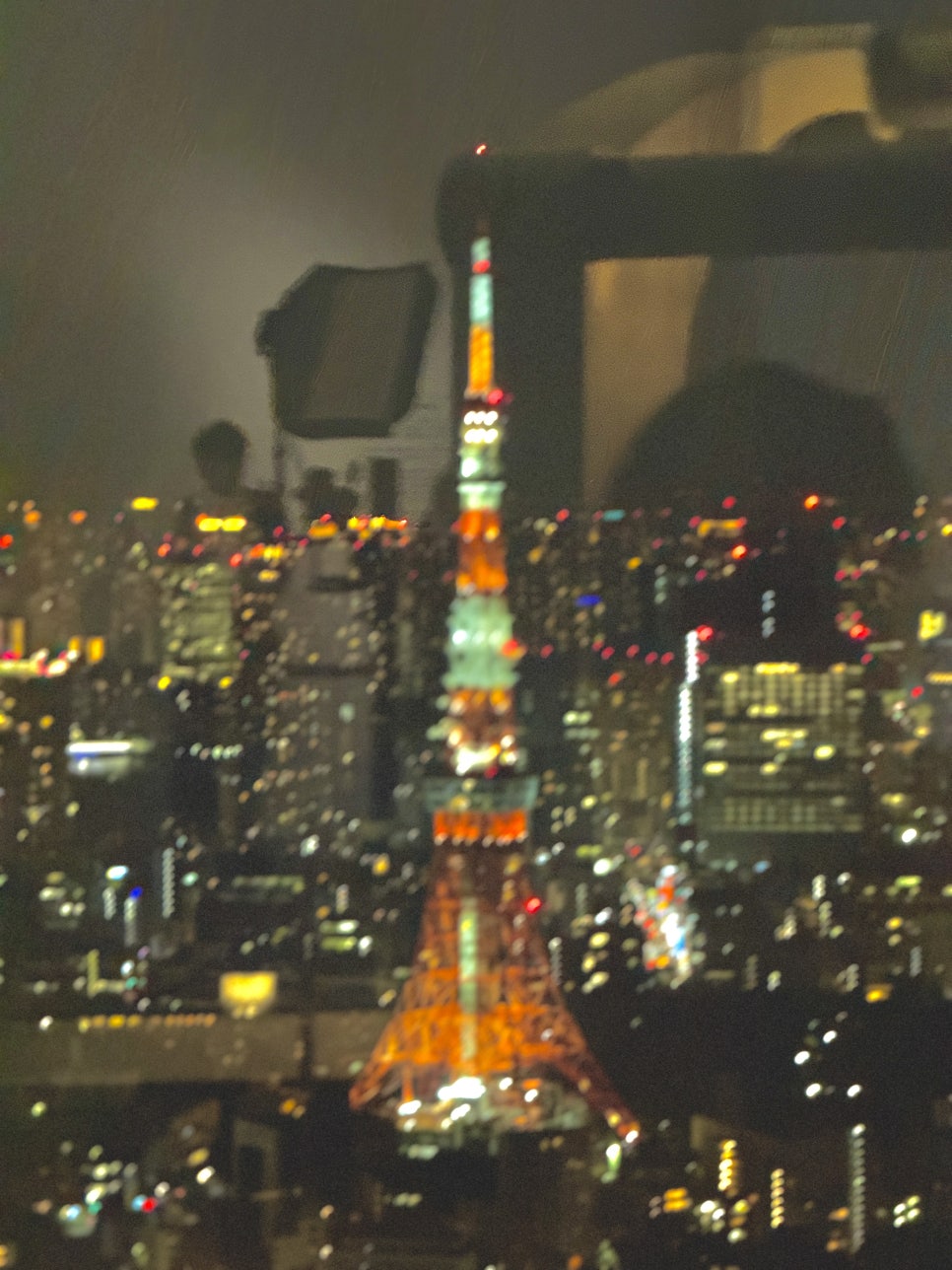 The sprawling, glittering cityscape of Tokyo at night