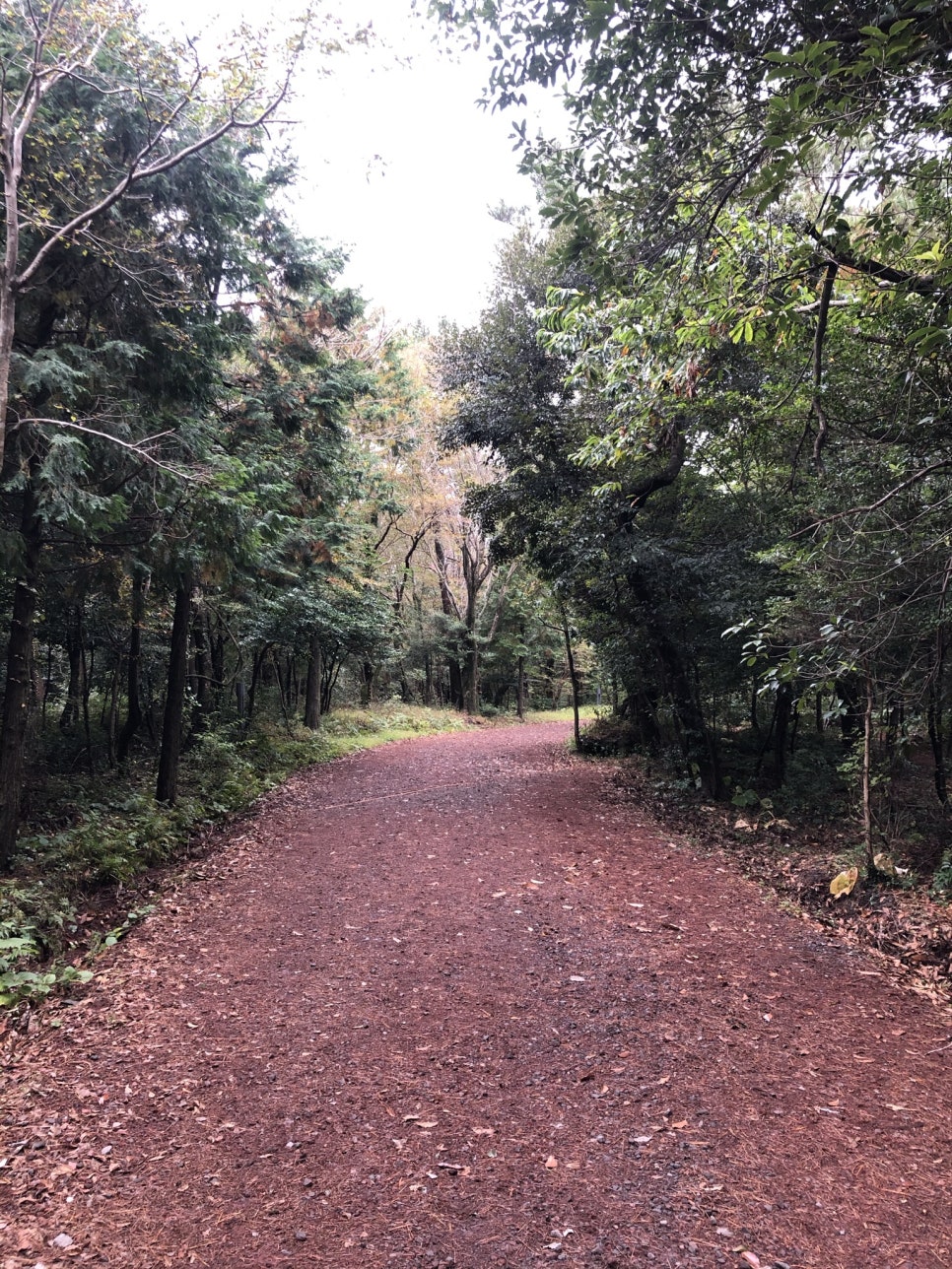 Tapping a transit card on a bus card reader in Jeju