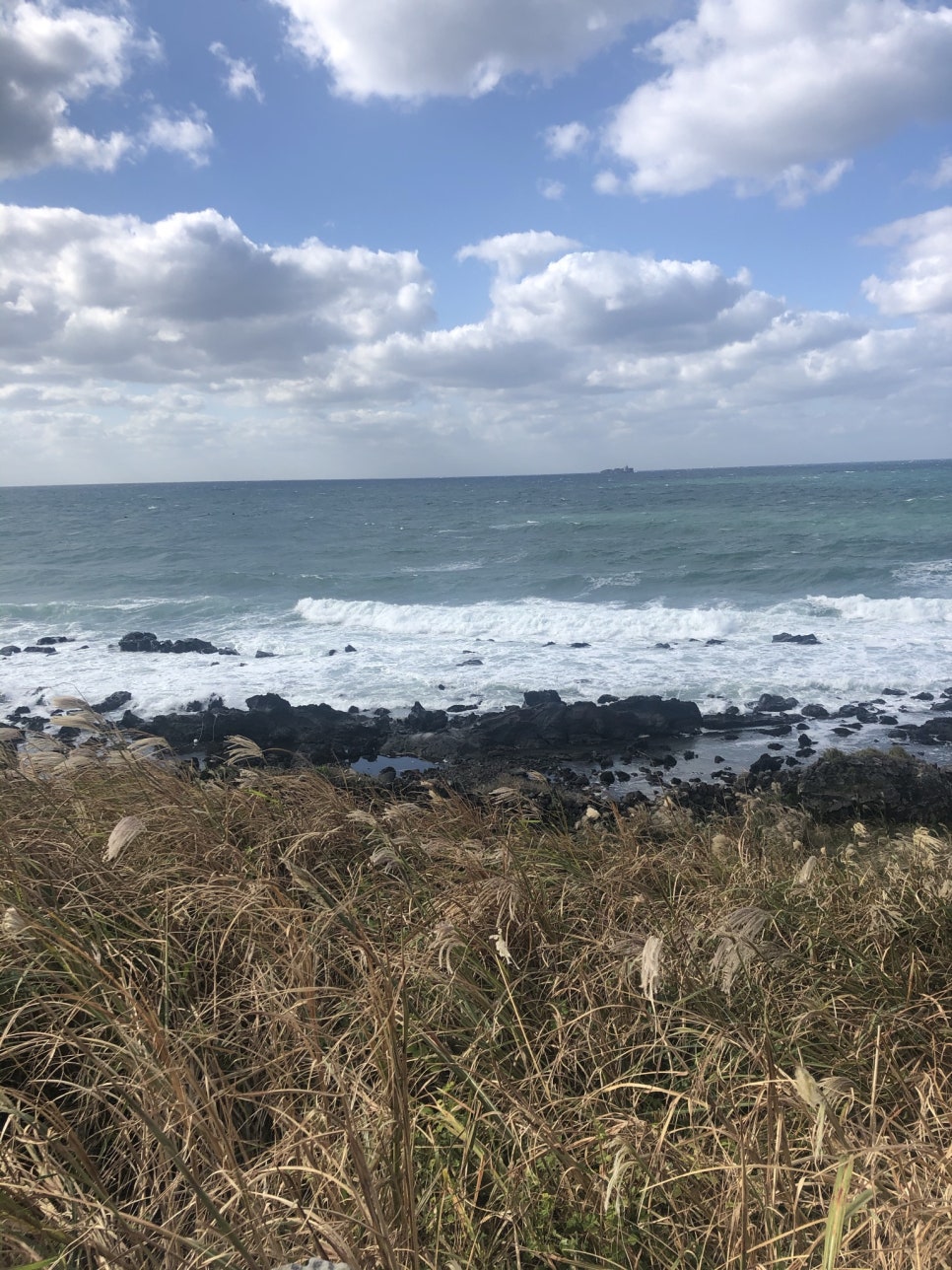 A map of Jeju Island showing the west, east, and north areas for the itinerary