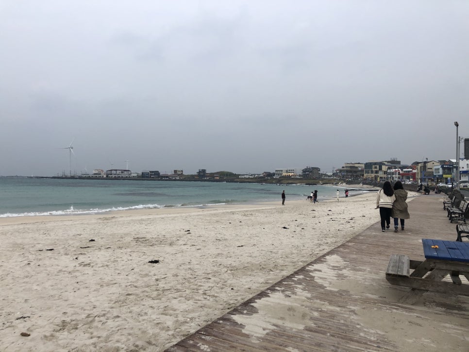 A trendy cafe overlooking the emerald waters of Woljeongri Beach