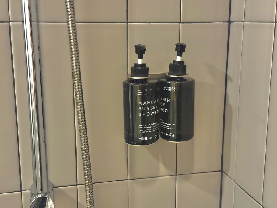 Shower stall with built-in shampoo and body wash dispensers
