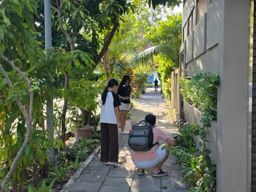 Malé budget accommodation where you can spot cats