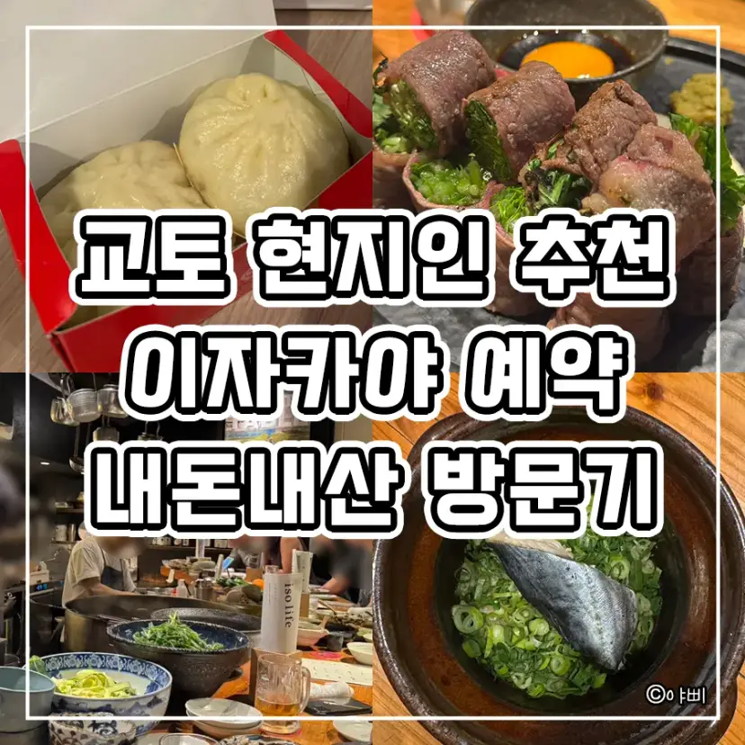 Kyoto travel food guide