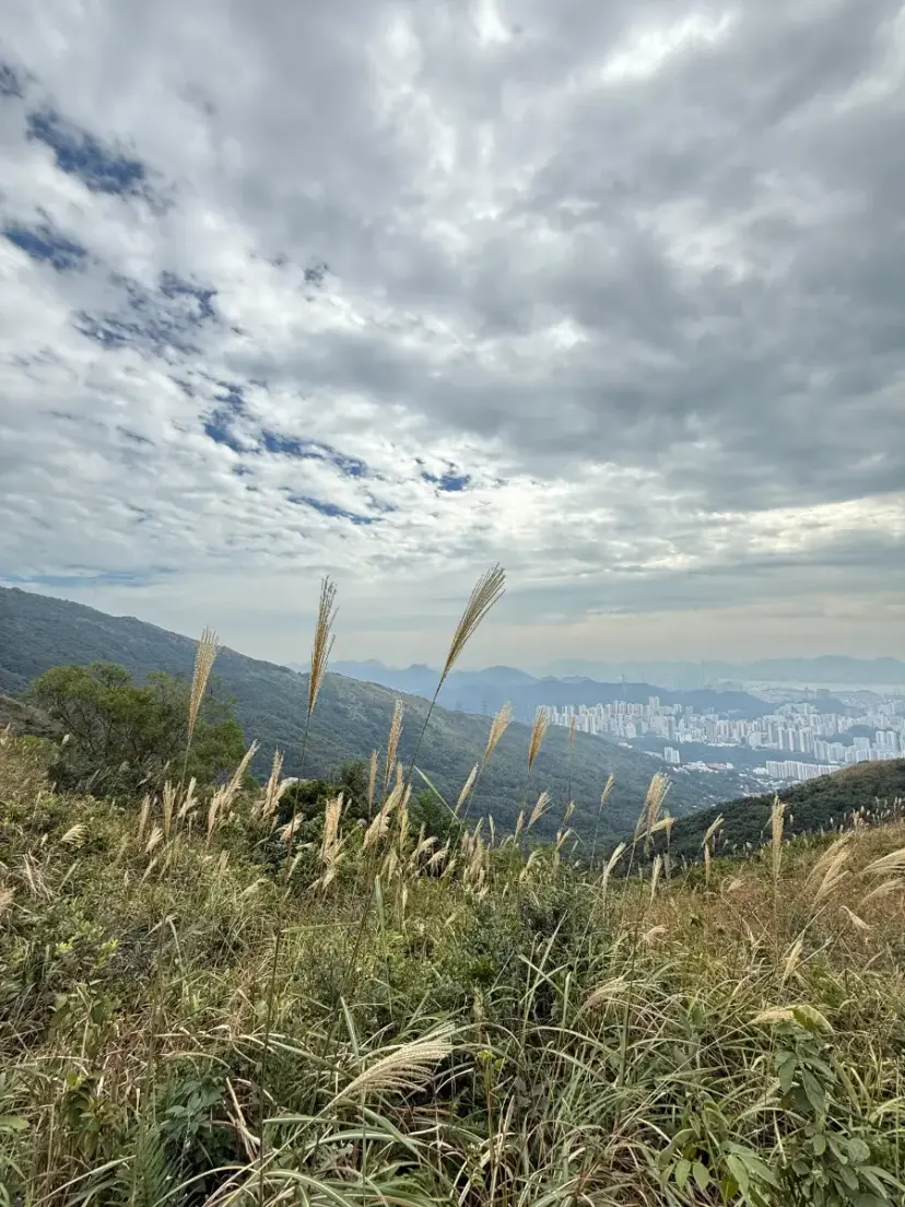 홍콩 하이킹 등산 명소 타이모산 후기 및 꿀팁